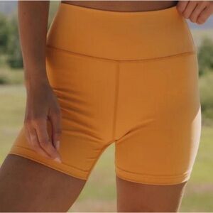 NWOT Daily Drills Go! Shortie Shorts | Honey Gold | Size Medium
